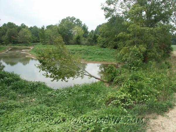 PICT0007.JPG