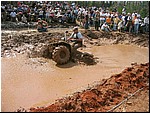 mud%20mania%2005%20141.jpg