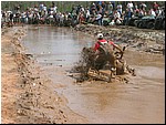 mud%20mania%2005%20155.jpg