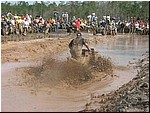 mud%20mania%2005%20218.jpg