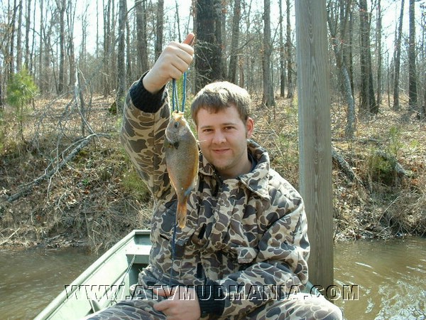 BIG COPPERNOSE BREAM.jpg