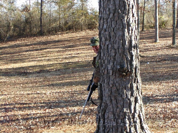 THE STALK.JPG