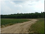 DSCF0015.JPG