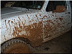 MUDDY FORD01.jpg